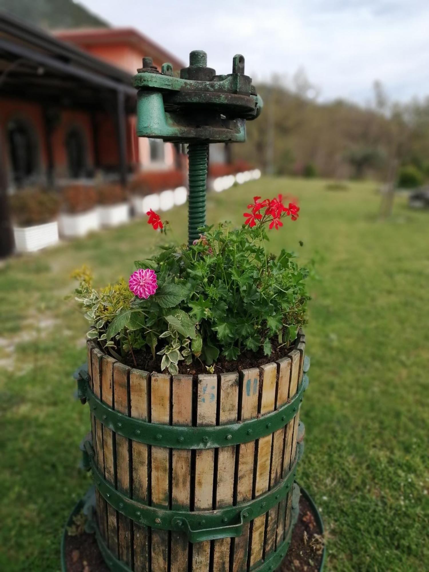 Mignano Monte Lungo Salisu Country House المظهر الخارجي الصورة